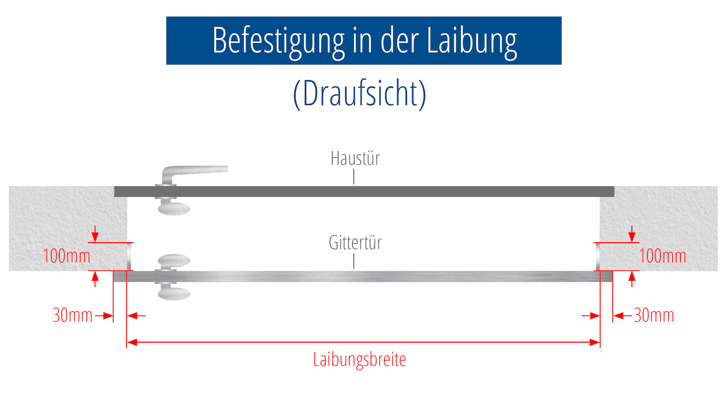 Traliedeur Roestvrij staal Ladder